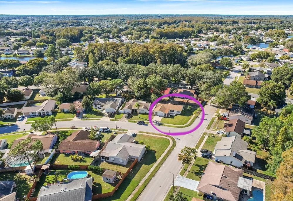 Villa "Impressa" - Billiard,Ping-Pong Table, Lanai, Fire Pit, Bbq Grill, View, Patio, Back Yard New Port Richey Exterior foto
