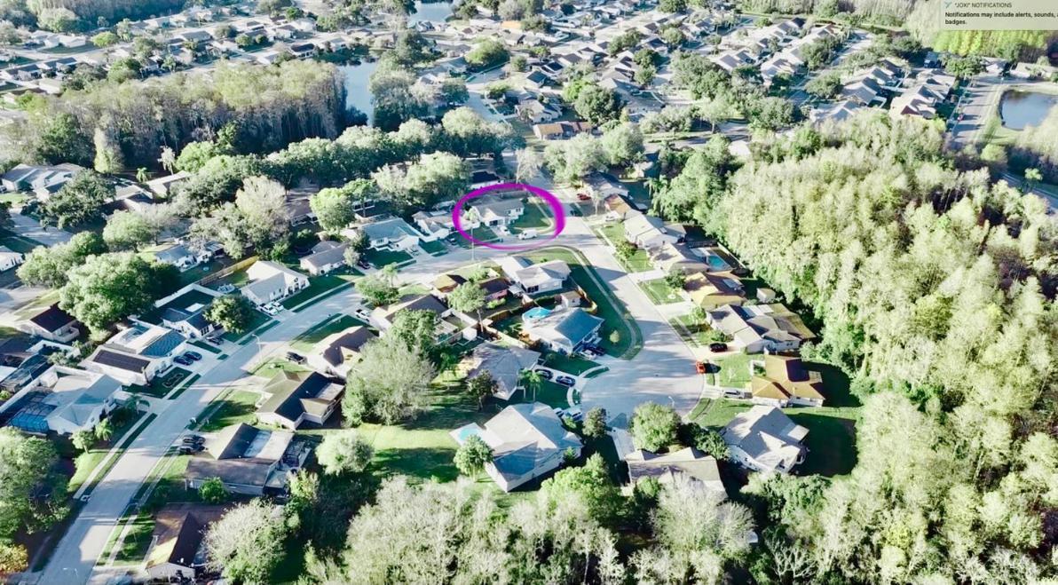 Villa "Impressa" - Billiard,Ping-Pong Table, Lanai, Fire Pit, Bbq Grill, View, Patio, Back Yard New Port Richey Exterior foto